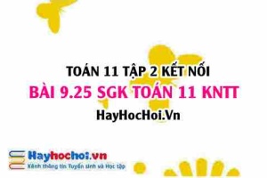 Bài 9.25 SGK Toán 11 Tập 2 Kết nối tri thức: Ôn tập quy tắc tính đạo hàm